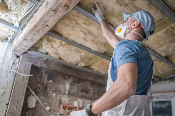 Best Commercial Insulation in Fraser, MI