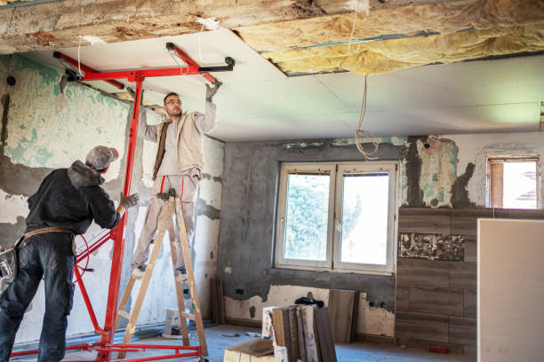 Best Commercial Insulation in Fraser, MI